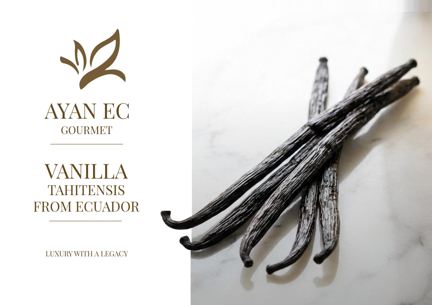 Vanilleschote Golden Selection – Premium-Vanilleschote Typ A