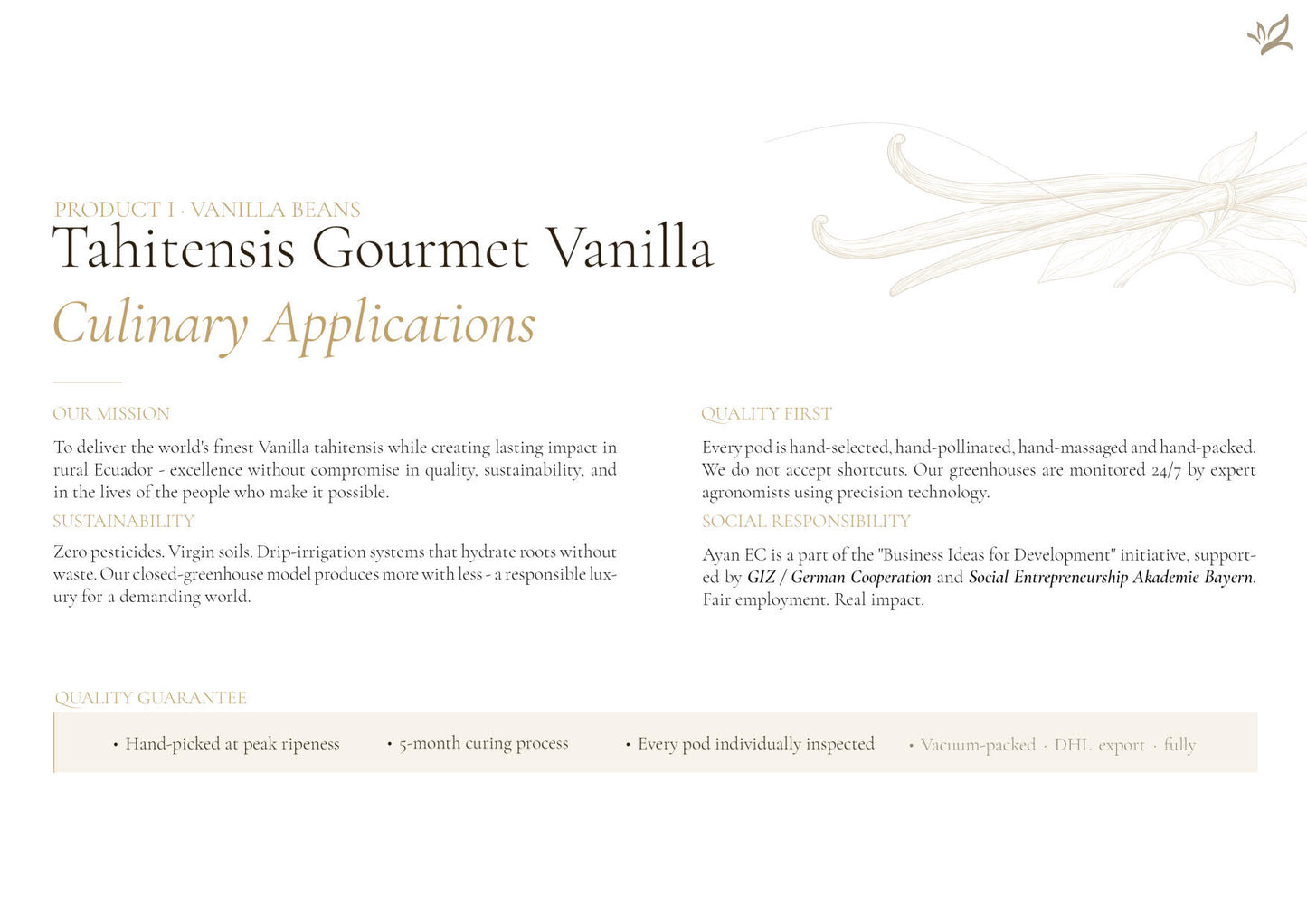 Vanilleschote Golden Selection – Premium-Vanilleschote Typ A