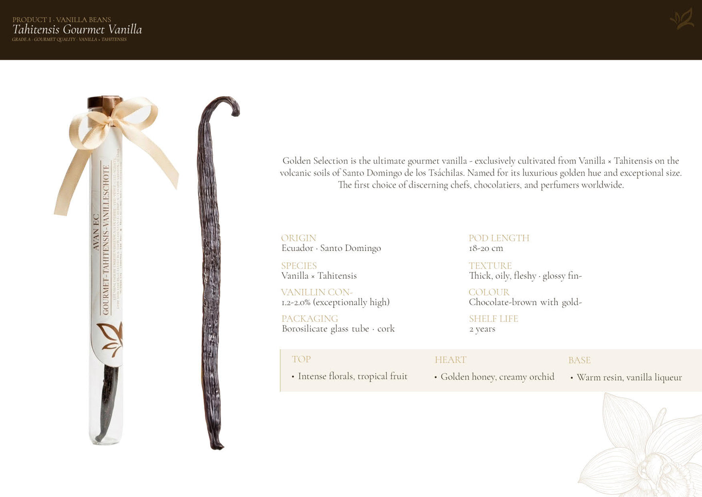 Vanilleschote Golden Selection – Premium-Vanilleschote Typ A