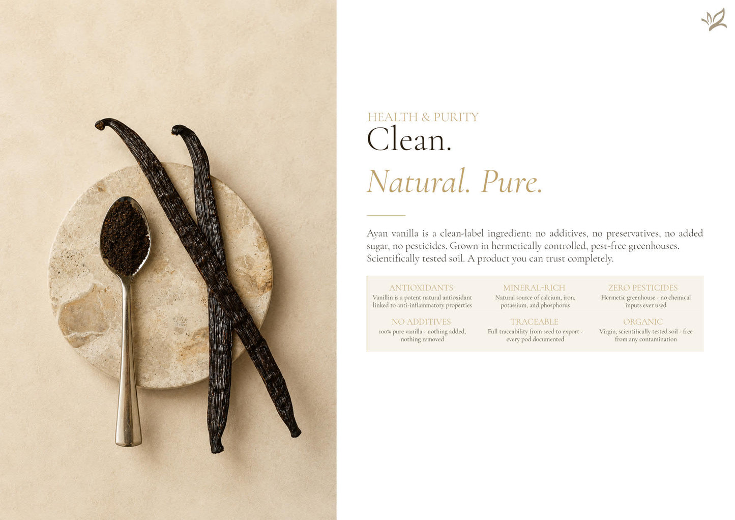 Vanilleschote Golden Selection – Premium-Vanilleschote Typ A